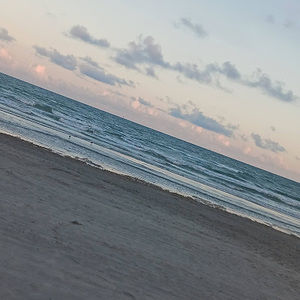 Meet your Posher, Annabelle